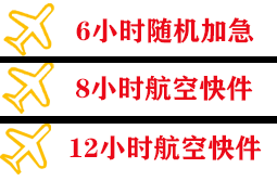 大武空运公司快递公司,专业空运当天件
